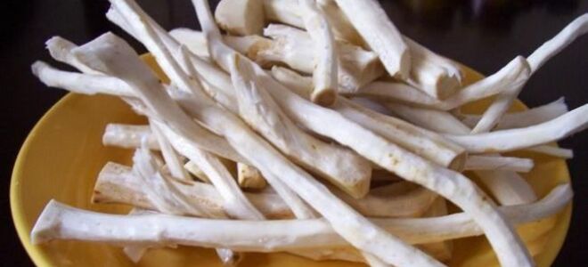 Хрен — питательные и целебные свойства этого растения. Как его есть и где его выращивать