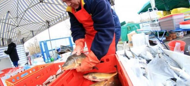 Вегетарианский канун Рождества на традиционном столе. руководство